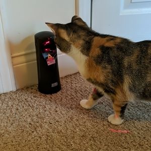 Interactive Cat laser toy